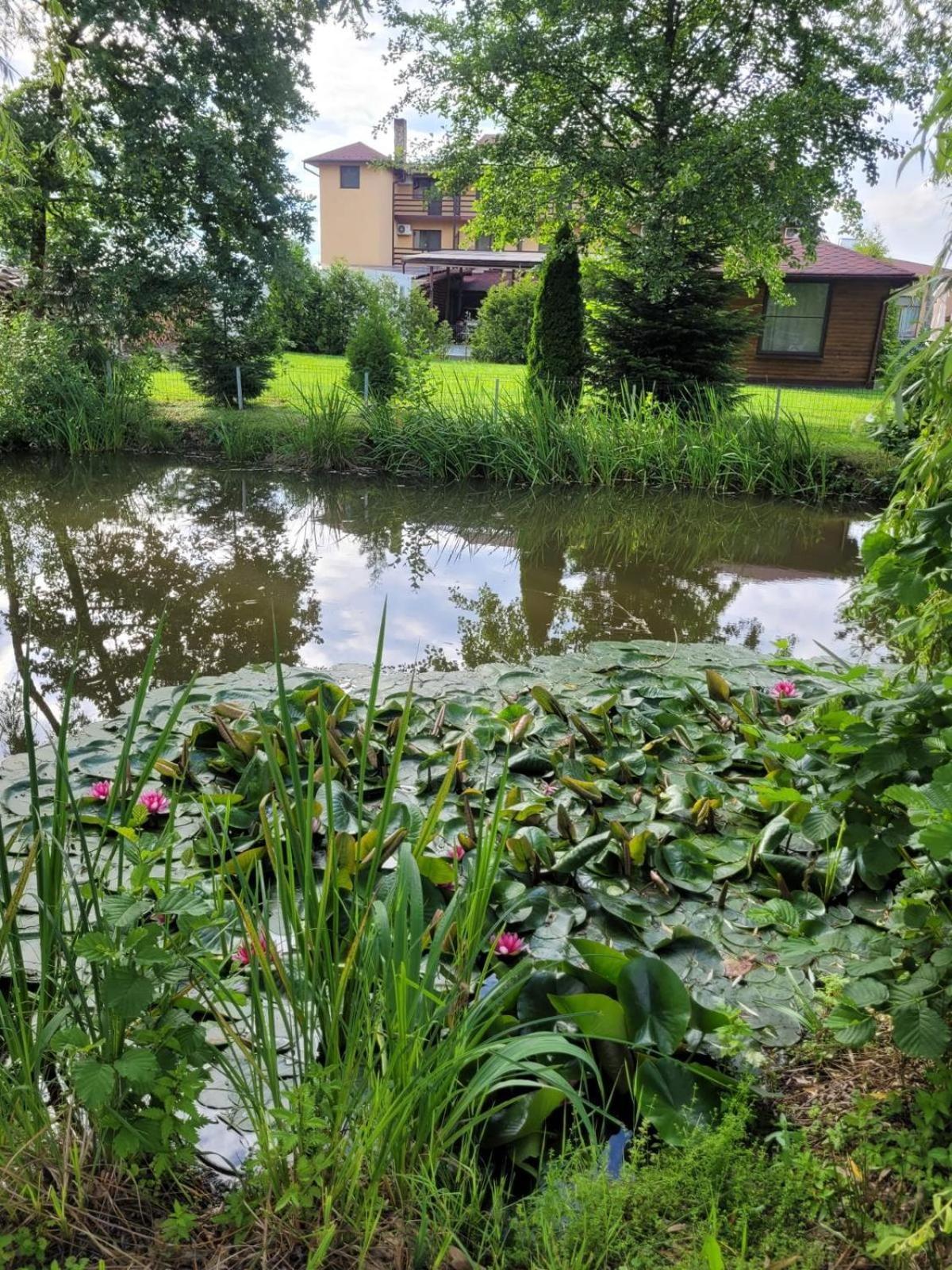 Hanul Lui Bogdan Economy Inn Făget Екстериор снимка