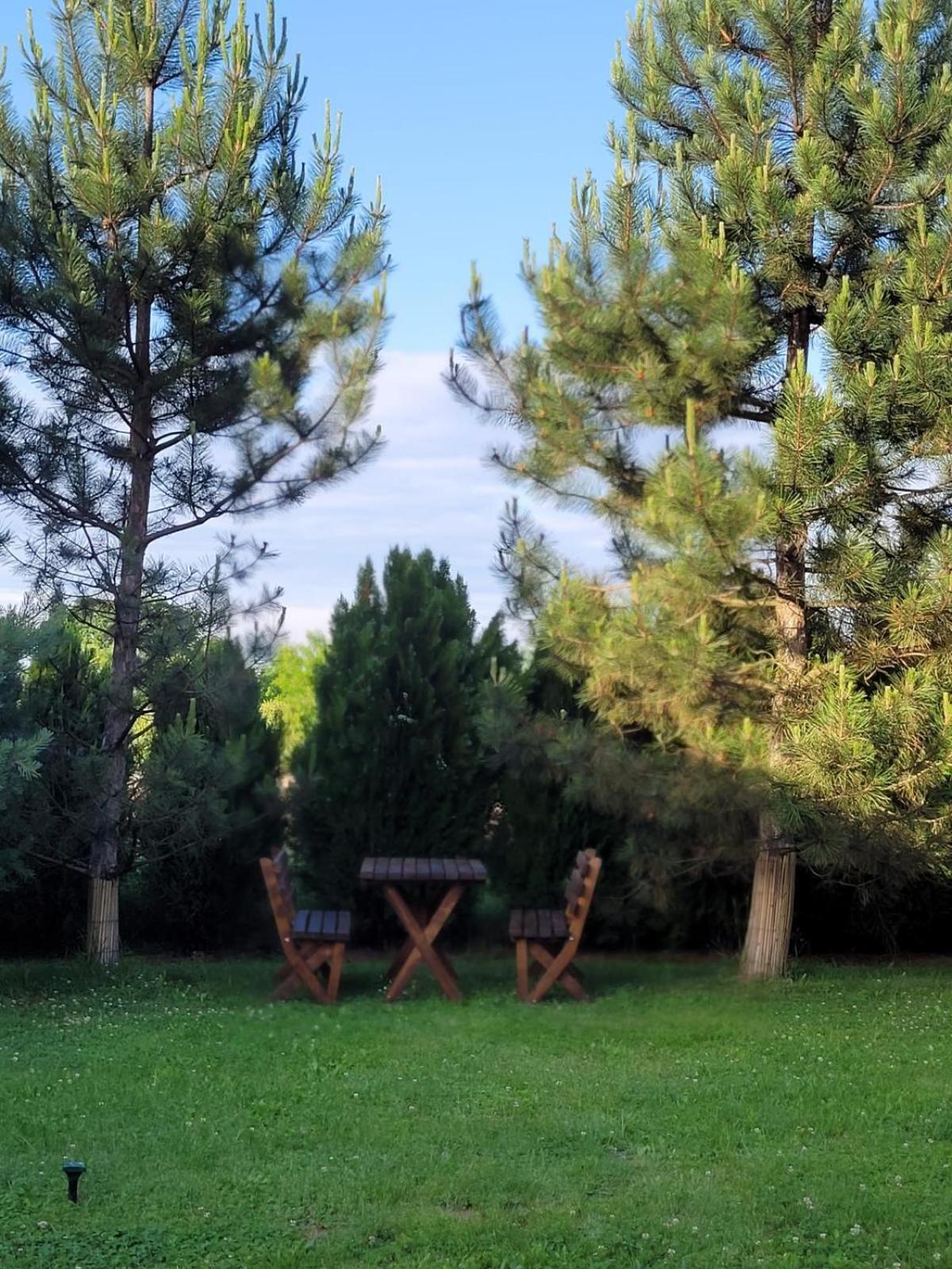 Hanul Lui Bogdan Economy Inn Făget Екстериор снимка